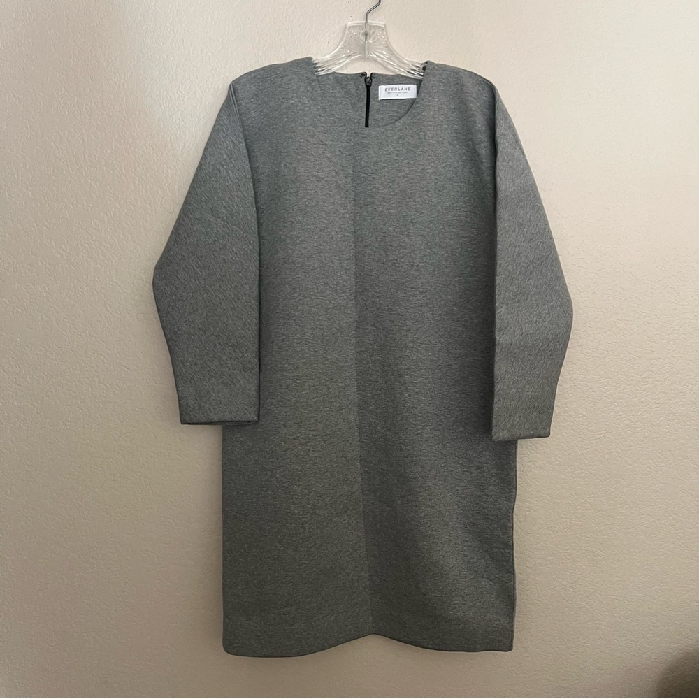 Everlane Gray Long Sleeve Dress